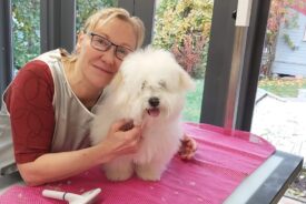 Vilou beim Hundefrisör